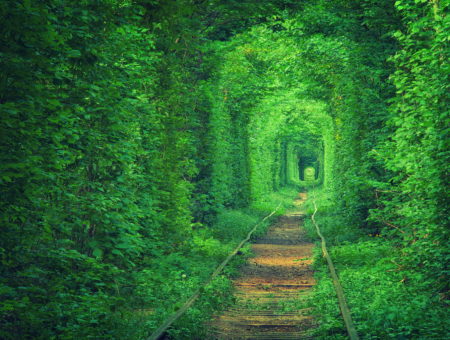 “Тунелът на любовта” в Клеван, Украйна (Tunnel of Love, Ukraine)