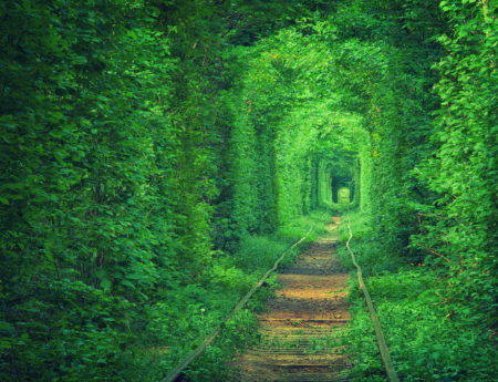 “Тунелът на любовта” в Клеван, Украйна (Tunnel of Love, Ukraine)