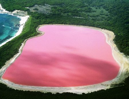 Розовото езеро Хилиър (Lake Hillier)