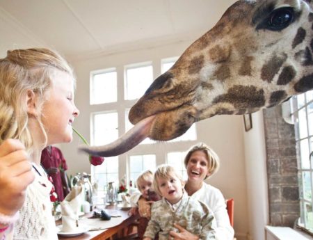 Закуска с жирафи – Хотел Giraffe Manor