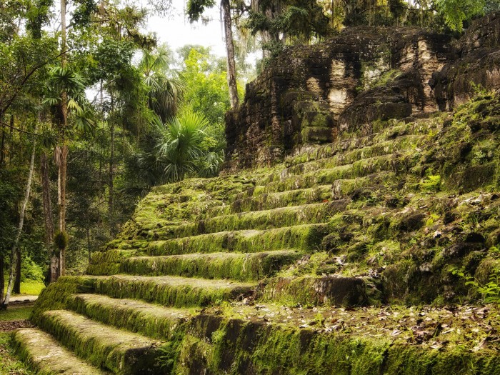 Stairs covered with grass and moss, Tikal