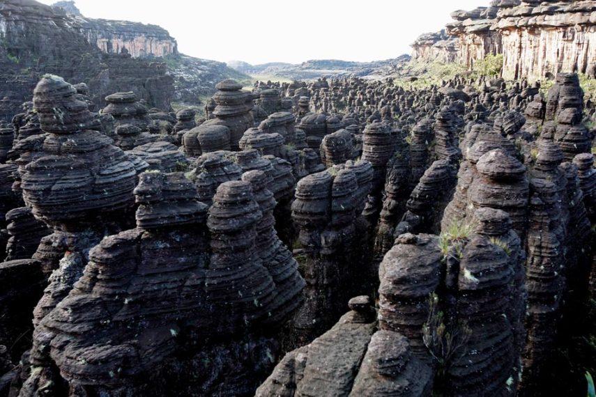 Mount Roraima (2)