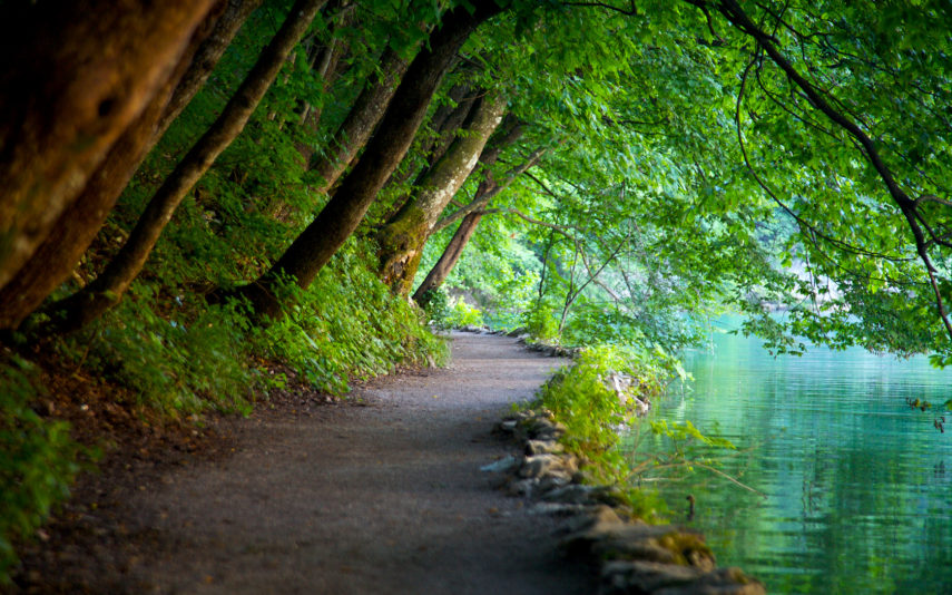 Plitvice-forest